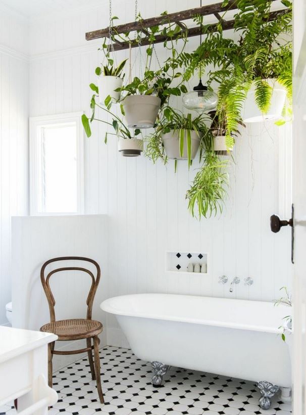 HomelySmart | 17 Brilliant Ways On How To Put Plants In Bathroom ...