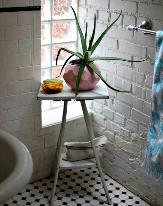 HomelySmart | 17 Brilliant Ways On How To Put Plants In Bathroom ...